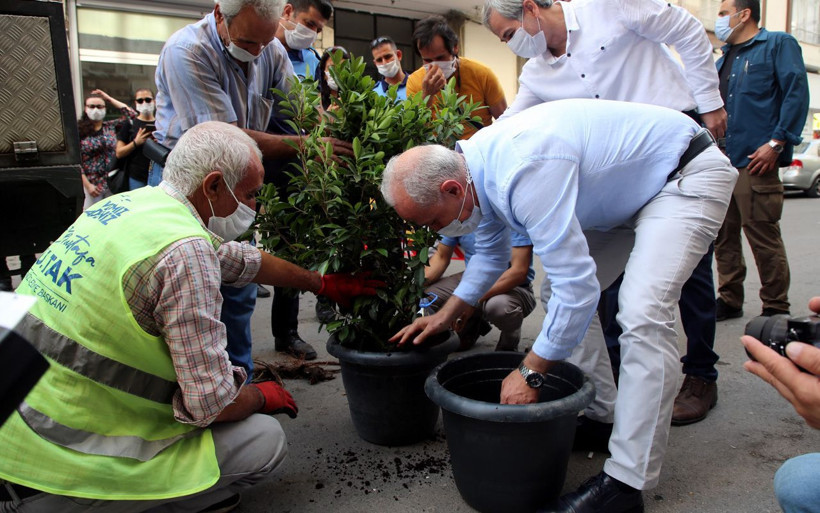 Mersin'de 3 yıllık mucize! Gider borusunda yetişen ağaç fidanı saksıya alındı - Resim: 4
