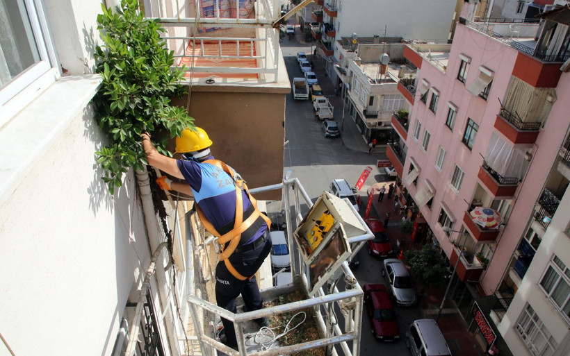 Mersin'de 3 yıllık mucize! Gider borusunda yetişen ağaç fidanı saksıya alındı - Resim: 1
