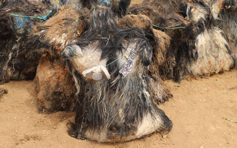 Kilosu 100 lira kuyudan çıkartılıyor! Antalya'da sadece 15 kişi bu işi yapıyor - Resim: 1