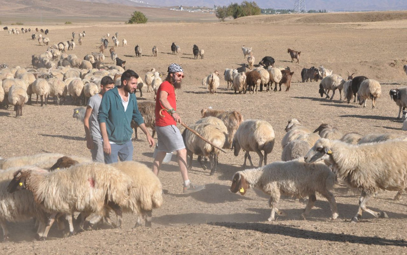 Hakkari'ye geldiği gün şoku yaşayan İtalyan hayran kaldı koyun sağmayı öğrendi - Resim: 3