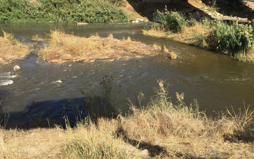 Aydın'da hayvan otlatan çobanlar buldu nehir üzerinde kadın cesedi paniği! - Resim: 1