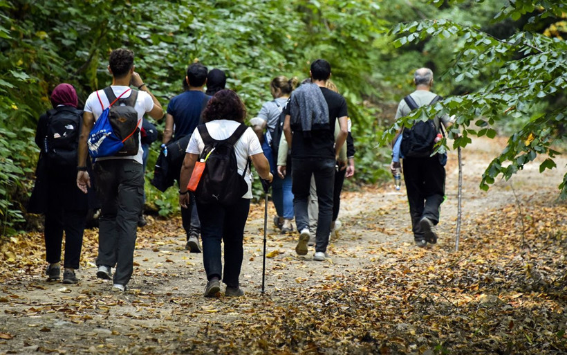 Türkiye'nin 'canlı ağaç müzesi' Örümcek Ormanları'nda Sonbahar cümbüşü - Resim: 2