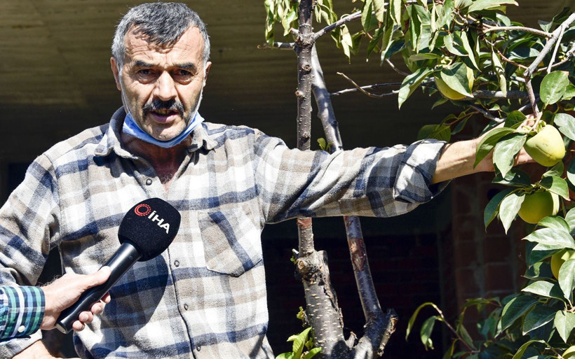 Bu meyve ağacının Gümüşhane’de başka eşi yok sandıklarda saklıyor - Resim: 2