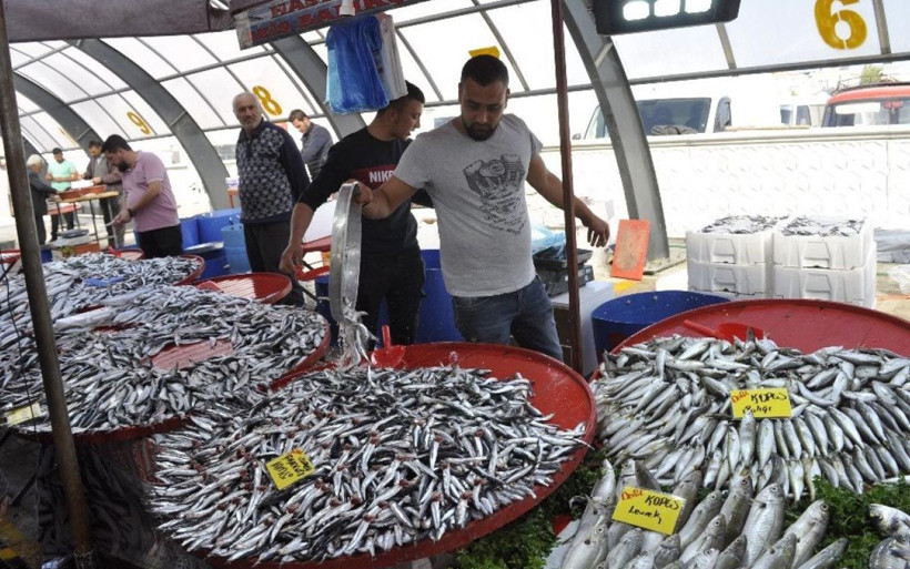 Koronavirüse karşı 'balık tüketin' önerisi taze balık nasıl anlaşılır ne şekilde tüketilmeli? - Resim: 4