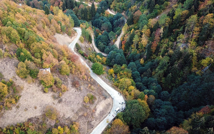 Türkiye'nin 'canlı ağaç müzesi' Örümcek Ormanları'nda Sonbahar cümbüşü - Resim: 4