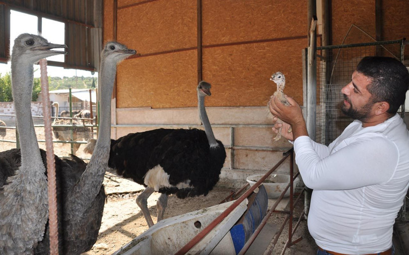 Aydın'da oyuncak işini bırakıp başladı talebe yetişemiyor! Türkiye'ye gönderiyor - Resim: 2