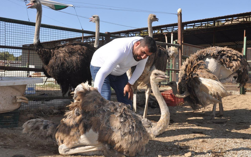 Aydın'da oyuncak işini bırakıp başladı talebe yetişemiyor! Türkiye'ye gönderiyor - Resim: 1