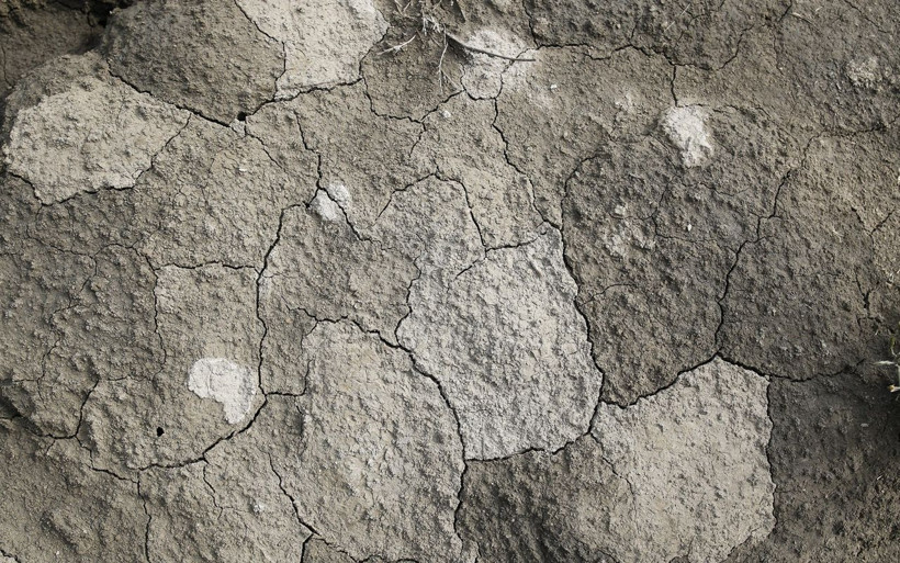 İstanbul'a Alibeyköy Barajı'ndan kötü haber: Bir zamanlar su vardı şimdi hayvan otluyor - Resim: 2