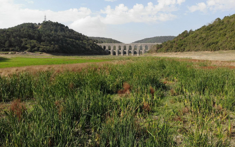 İstanbul'a Alibeyköy Barajı'ndan kötü haber: Bir zamanlar su vardı şimdi hayvan otluyor - Resim: 3