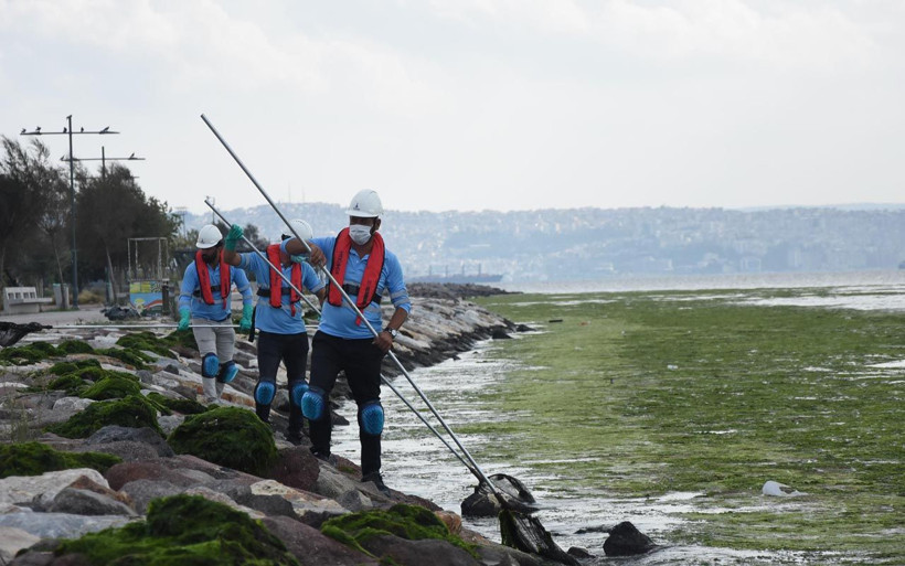 İzmir'de şaşırtan görüntü: Denizi böyle kapladı ne olduğu ortaya çıktı - Resim: 2