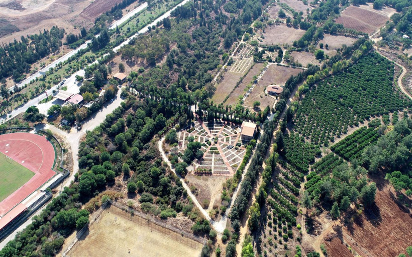 Görüntüsü cezbeden bu bitkiler öldürüyor! Donald Trump'a da gönderilmişti - Resim: 4