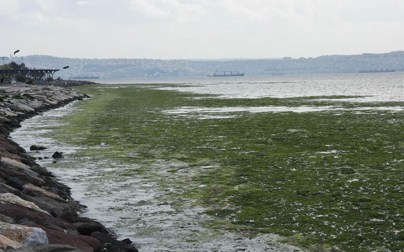 İzmir'de şaşırtan görüntü: Denizi böyle kapladı ne olduğu ortaya çıktı - Resim: 4