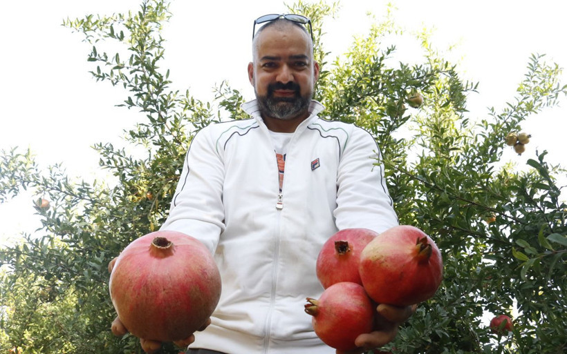 Antalya'da görenler şaşırıyor nar ağırlığıyla yeni rekoru elde etti - Resim: 2