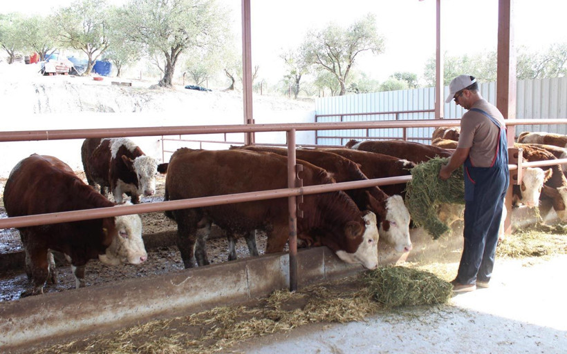 İnşaat işçisiydi patron oldu! Manisa'da baba mesleğini hibe alarak kurdu - Resim: 3