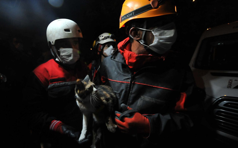 İzmir'de sevimli kediyi dostu kurtardı gözyaşları yaşadığı büyük korkuyu özetledi - Resim: 1