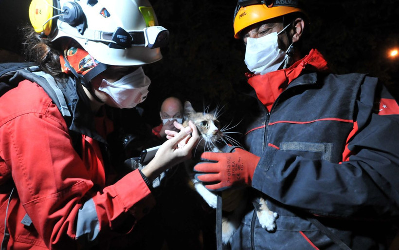 İzmir'de sevimli kediyi dostu kurtardı gözyaşları yaşadığı büyük korkuyu özetledi - Resim: 2