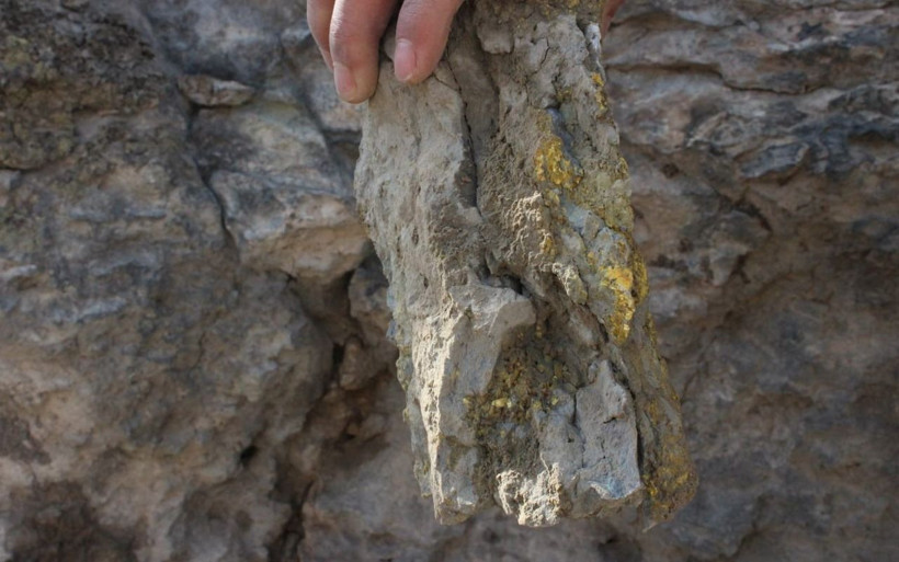 Ağrı'da işsiz gençler heyecanla bekliyor! Mollakara köyünde 'altın' sevinci sürüyor - Resim: 2