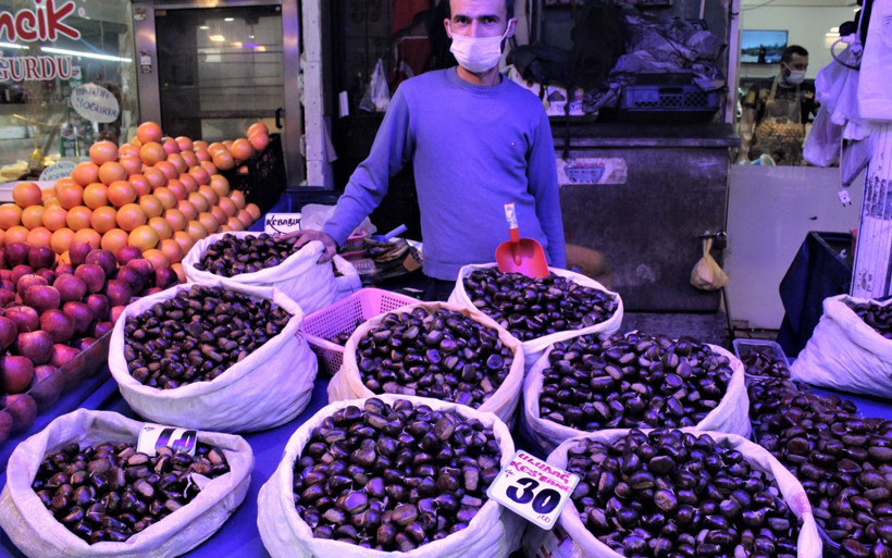 Bursa'da gal arısı hastalığı kestaneyi vurdu! Fiyatı altınla yarışmaya başladı - Resim: 3
