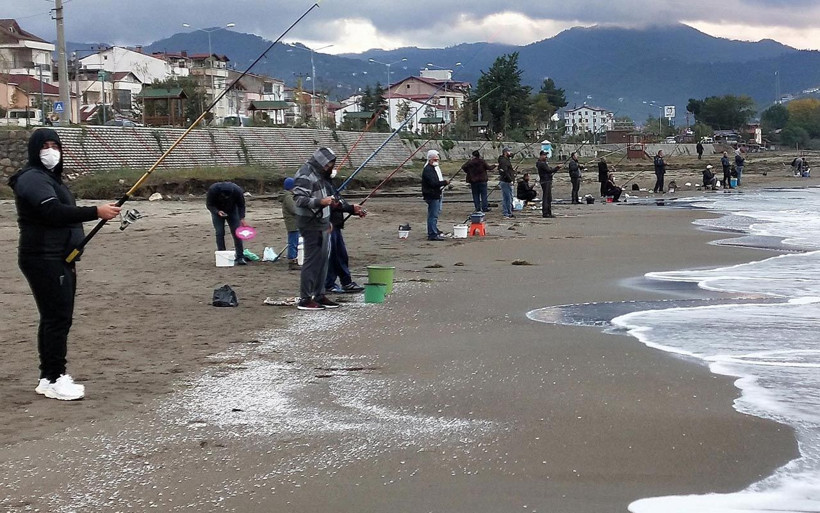 Ordu'da ilginç görüntü: Haberi duyan sahile koştu olta atacak yer kalmadı - Resim: 3
