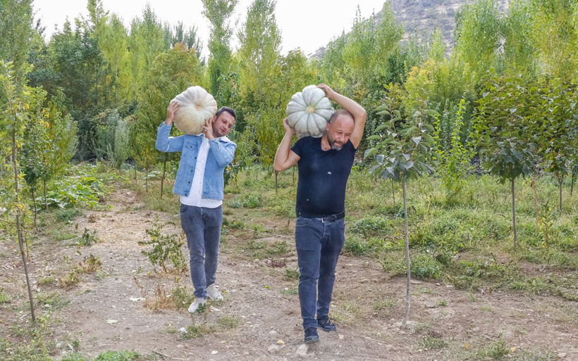 Diyarbakır'da şehir hayatını sıkılıp terk etti! Dev kabakları biyolog kuzeniyle yetiştiriyor - Resim: 2