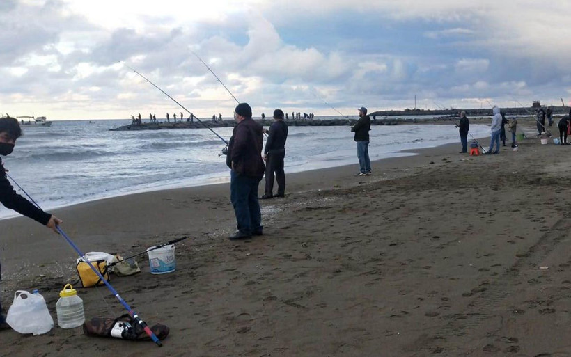 Ordu'da ilginç görüntü: Haberi duyan sahile koştu olta atacak yer kalmadı - Resim: 4