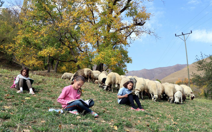 Van'da koyun güden çocuklar derslerini de çalışıyor iki istedikleri var - Resim: 2