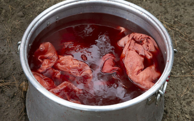 Edirne kırmızısı toprakla buluştu! 15'inci yüzyılda casusluk hikayelerine konu olmuştu - Resim: 1