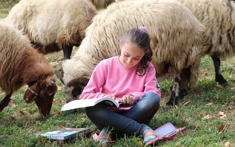 Van'da koyun güden çocuklar derslerini de çalışıyor iki istedikleri var - Resim: 1