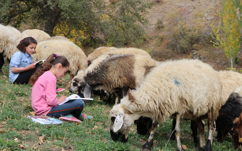 Van'da koyun güden çocuklar derslerini de çalışıyor iki istedikleri var - Resim: 3