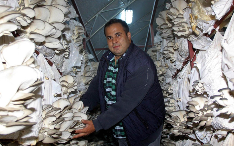 Manisa'da arkadaşında tadına baktı siparişlere yetişemiyor! Yılda 8 ton üretiyor - Resim: 4