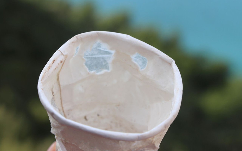 Karton bardakta mikroplastik tehlikesi! İç organlara yapışıyor beyne ulaşıyor - Resim: 3