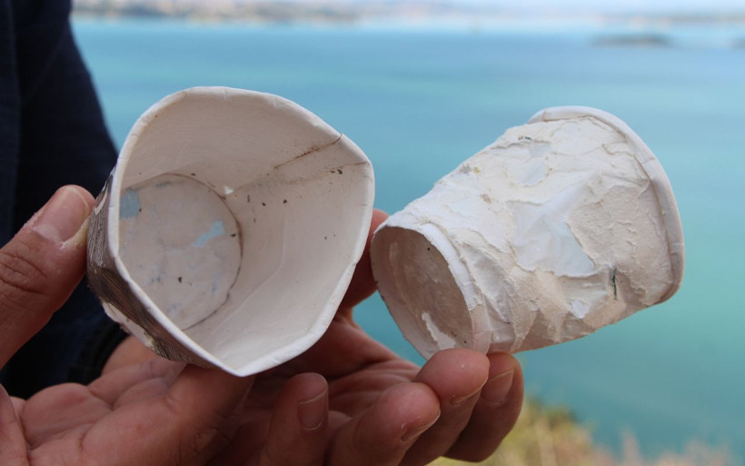 Karton bardakta mikroplastik tehlikesi! İç organlara yapışıyor beyne ulaşıyor - Resim: 1