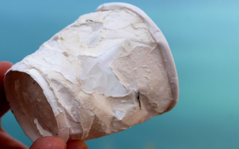 Karton bardakta mikroplastik tehlikesi! İç organlara yapışıyor beyne ulaşıyor - Resim: 2