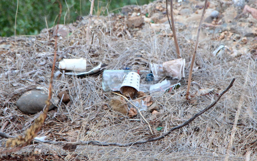 Karton bardakta mikroplastik tehlikesi! İç organlara yapışıyor beyne ulaşıyor - Resim: 4