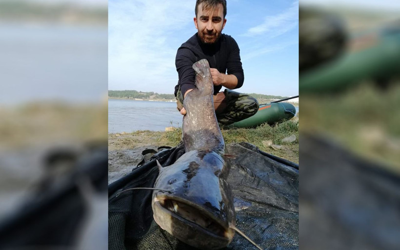 Eskişehir'de sarılmak için avlıyor 600 liralıyı suya geri bırakıyor - Resim: 3