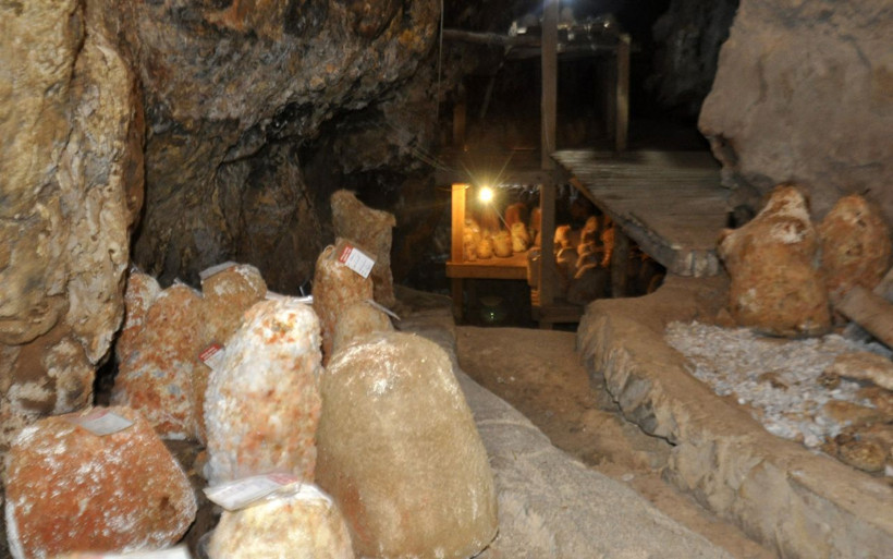Karaman'da 60 yıl sonra ilk kez girdiler divle peynirinde talebe yetişemiyorlar - Resim: 4