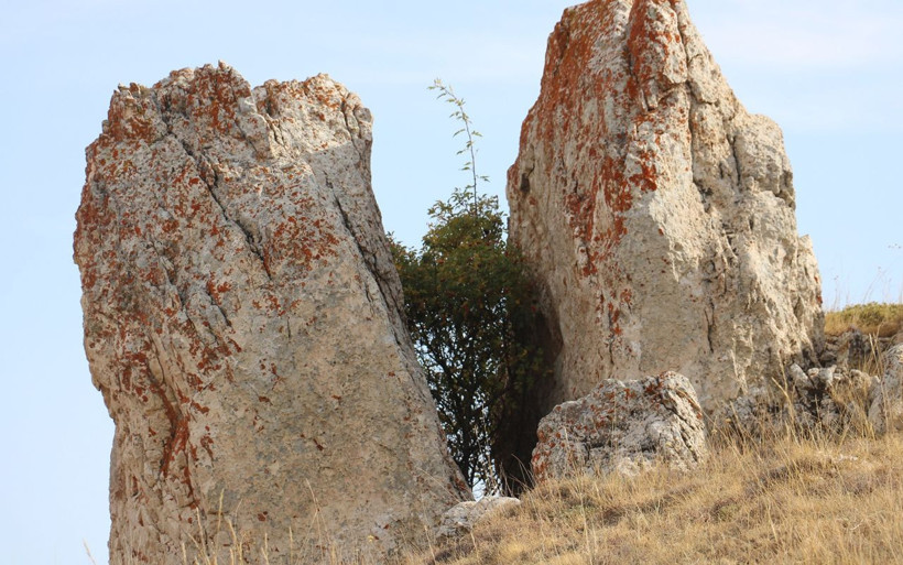 Sivas'ta köy halkını şaşırtan olay: Kaya çatladı arasında ağaç büyüdü - Resim: 2