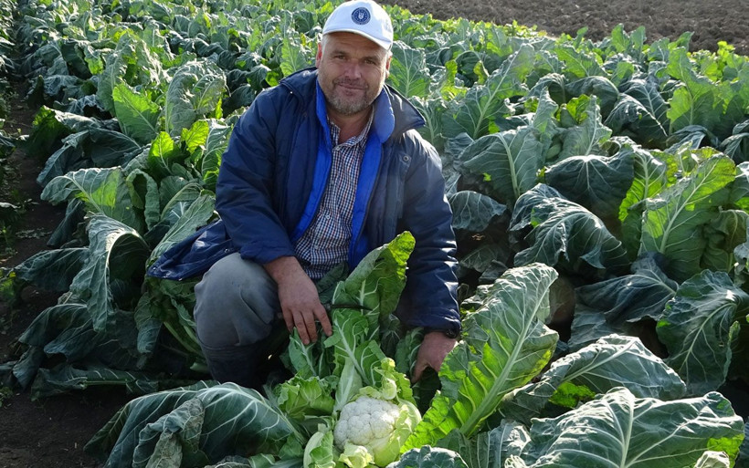 Bursa'da karnabaharın fiyatı koronavirüsle uçtu! Hayvanlara yem olarak veriliyordu - Resim: 1