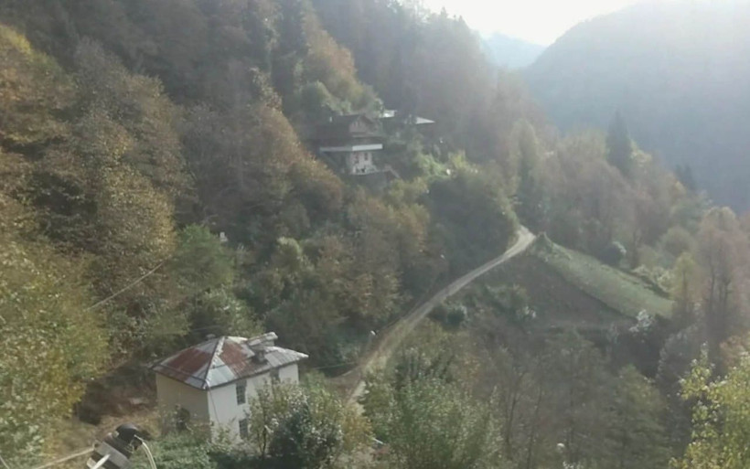 Rize'de 6 mahalleyi uğur böcekleri istila etti! Evlerin içine bile yuva yapıyorlar - Resim: 1