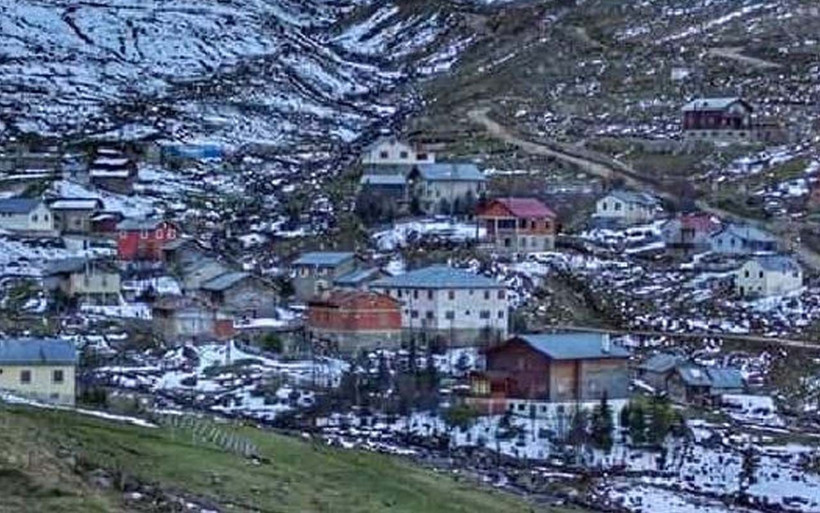 Rize'de 25 ev ayıların saldırısına uğradı! Her yerde pençe izleri - Resim: 1