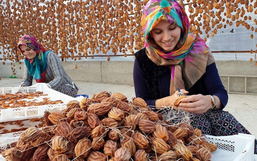 Bu meyve altın yılını yaşıyor Aydınlı önemsemiyordu şimdi kilosunu 100 TL'den satıyor - Resim: 1