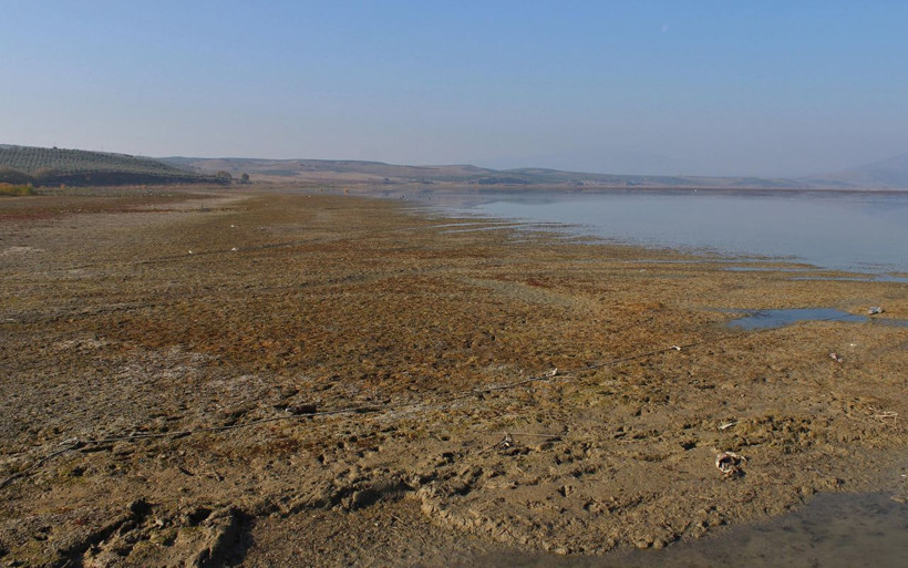 Marmara Gölü ürkütücü boyutlarda çekildi! 'Kuş cenneti' kara kara düşündürüyor - Resim: 3