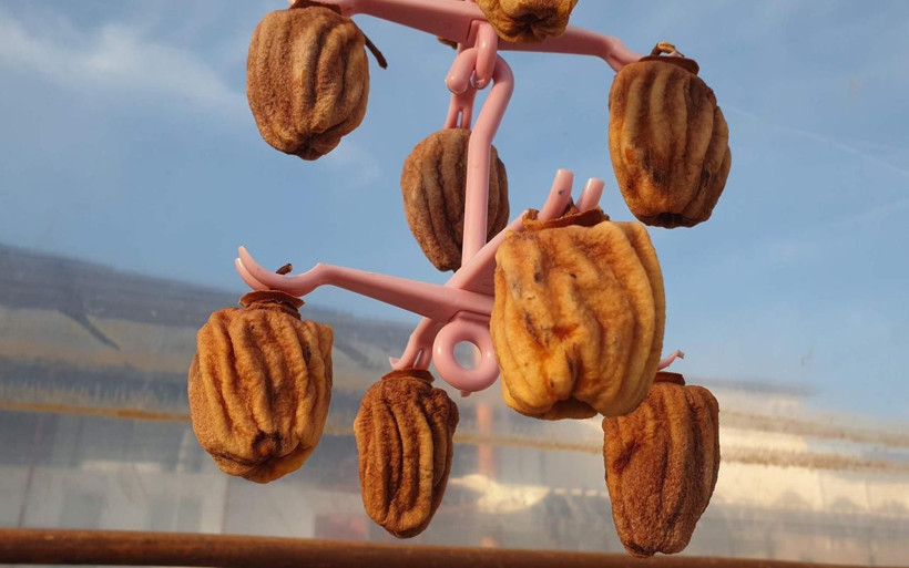 Bu meyve altın yılını yaşıyor Aydınlı önemsemiyordu şimdi kilosunu 100 TL'den satıyor - Resim: 2