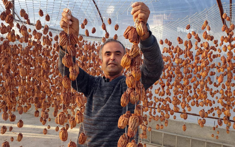 Bu meyve altın yılını yaşıyor Aydınlı önemsemiyordu şimdi kilosunu 100 TL'den satıyor - Resim: 4