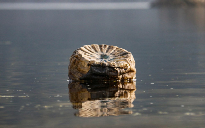 Alibeyköy Barajı'nda su seviyesi düştü Mimar Sinan'ın eseri daha görünür hale geldi - Resim: 3