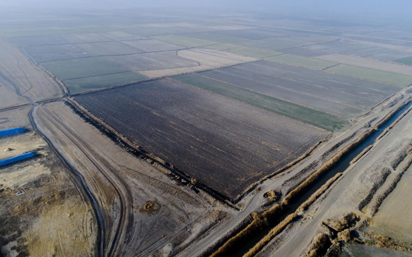 Tohumlar çürümeye başladı verim yüzde 40 düşecek! Konya Ovası'nda kuraklık alarmı - Resim: 4