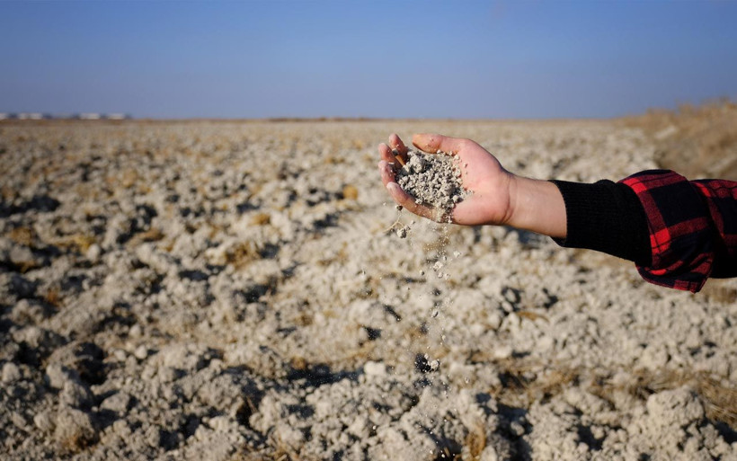 Tohumlar çürümeye başladı verim yüzde 40 düşecek! Konya Ovası'nda kuraklık alarmı - Resim: 3