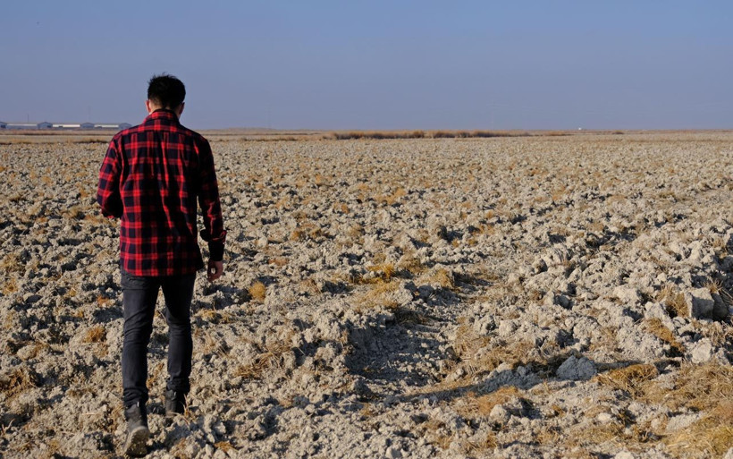Tohumlar çürümeye başladı verim yüzde 40 düşecek! Konya Ovası'nda kuraklık alarmı - Resim: 2