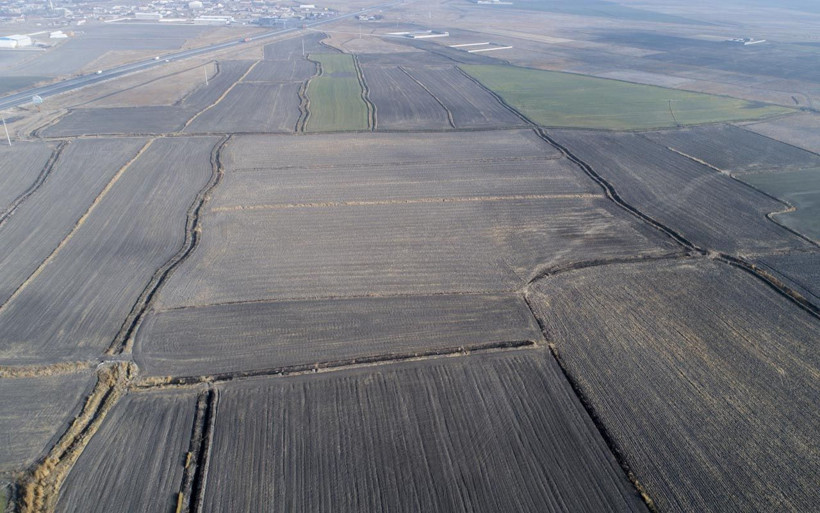 Tohumlar çürümeye başladı verim yüzde 40 düşecek! Konya Ovası'nda kuraklık alarmı - Resim: 1
