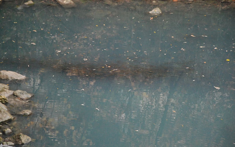 Bartın'da endişelendiren görüntüler: Irmak önce köpürdü sonra maviye büründü - Resim: 2